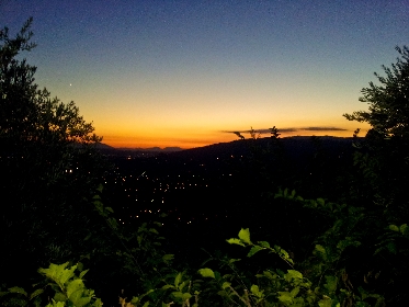 monte1