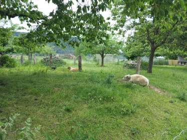 Idylle in Boffzen