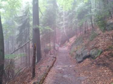 Nach dem Regen