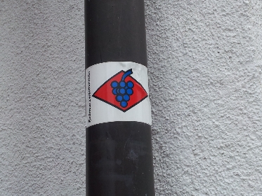 Orthenauer Weinpfad