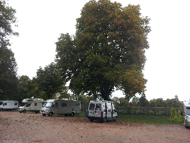 Kastanienbaum