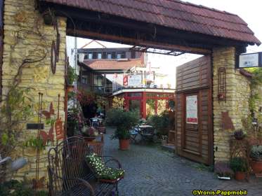 Violetter Lacktrichterling