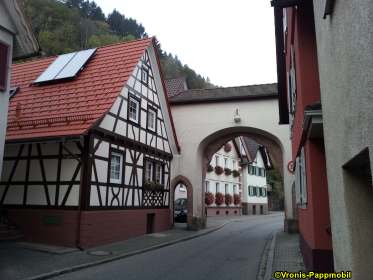 Tintenfischpilz