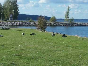 Stellplatz