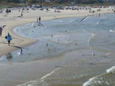 Stellplatz