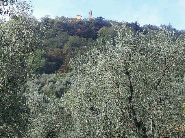 montecatino alto