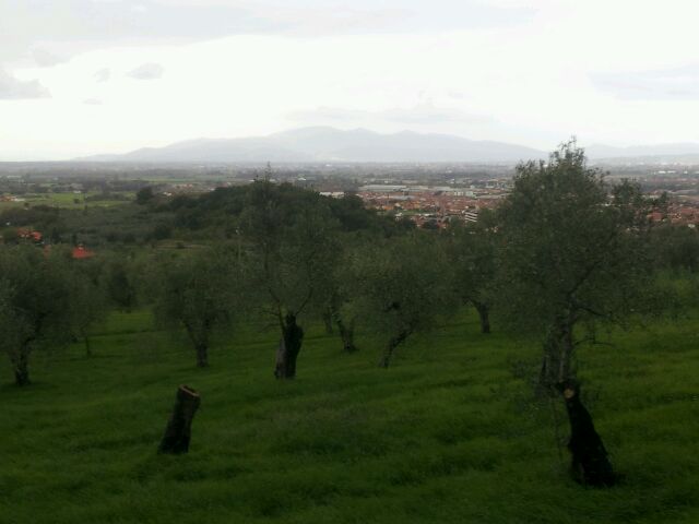 Funicolare