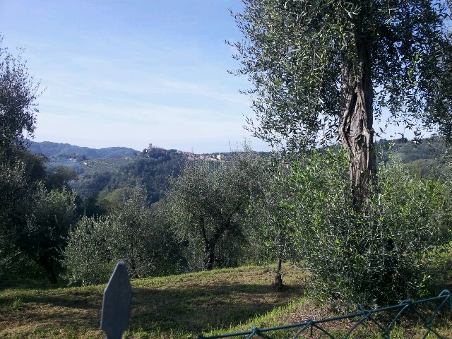 Landschaft Toskana
